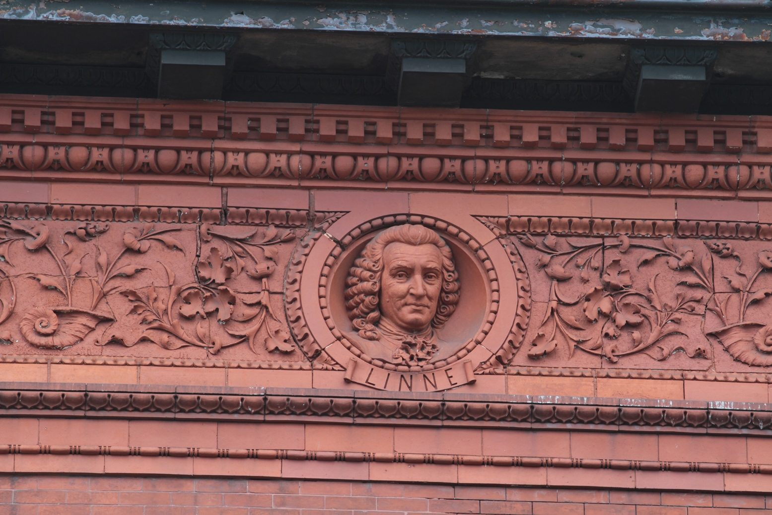 German Dispensary, New York - 12.JPG